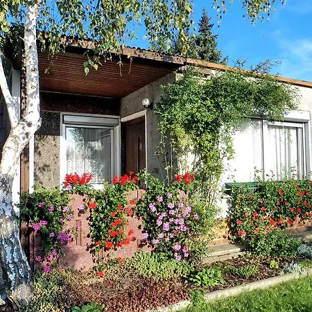 Apartment Krzyzaniak Lohsa